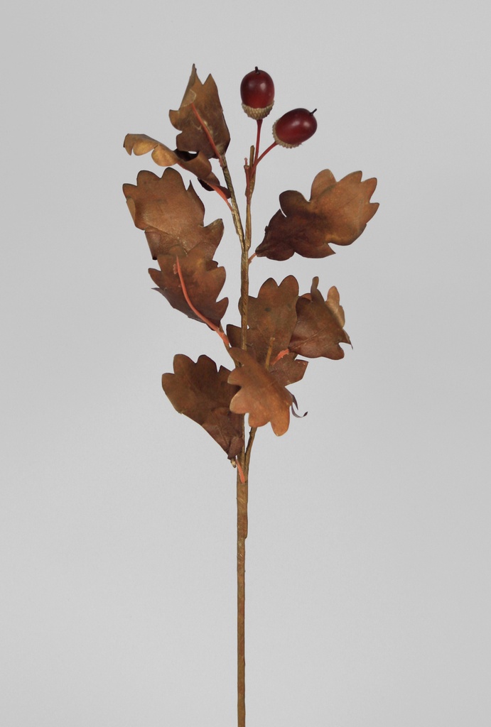 Oak leaf