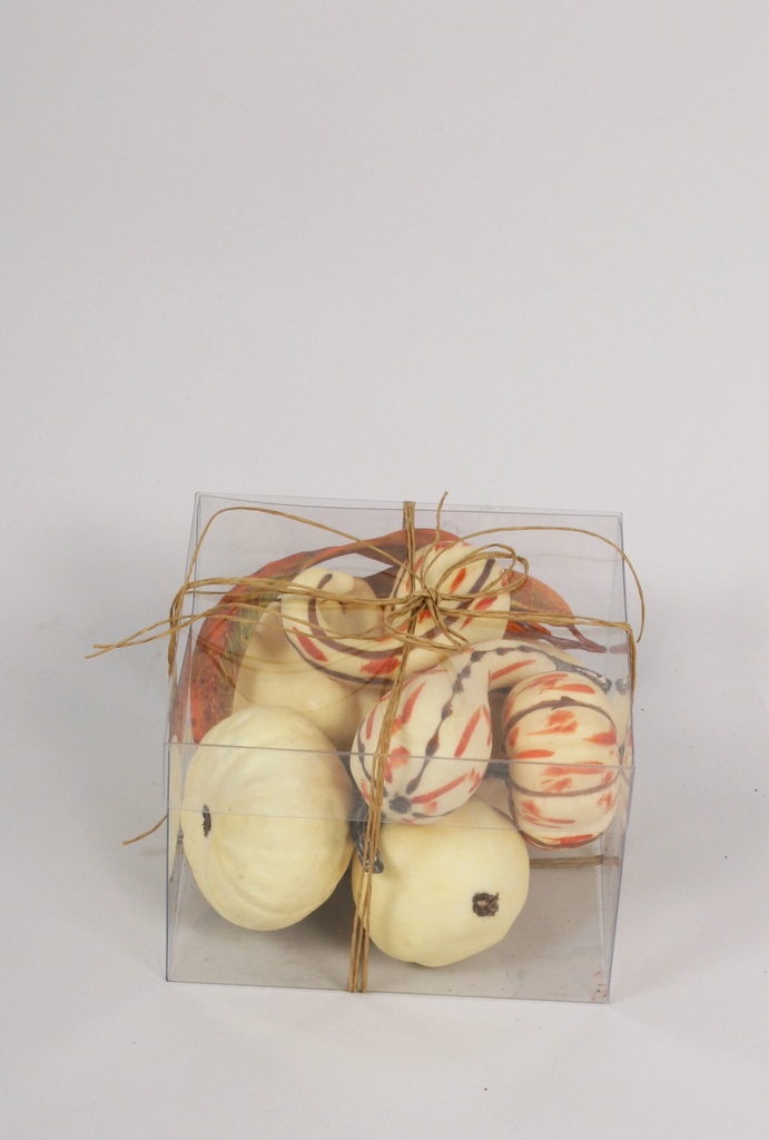 boston pumpkin assorted