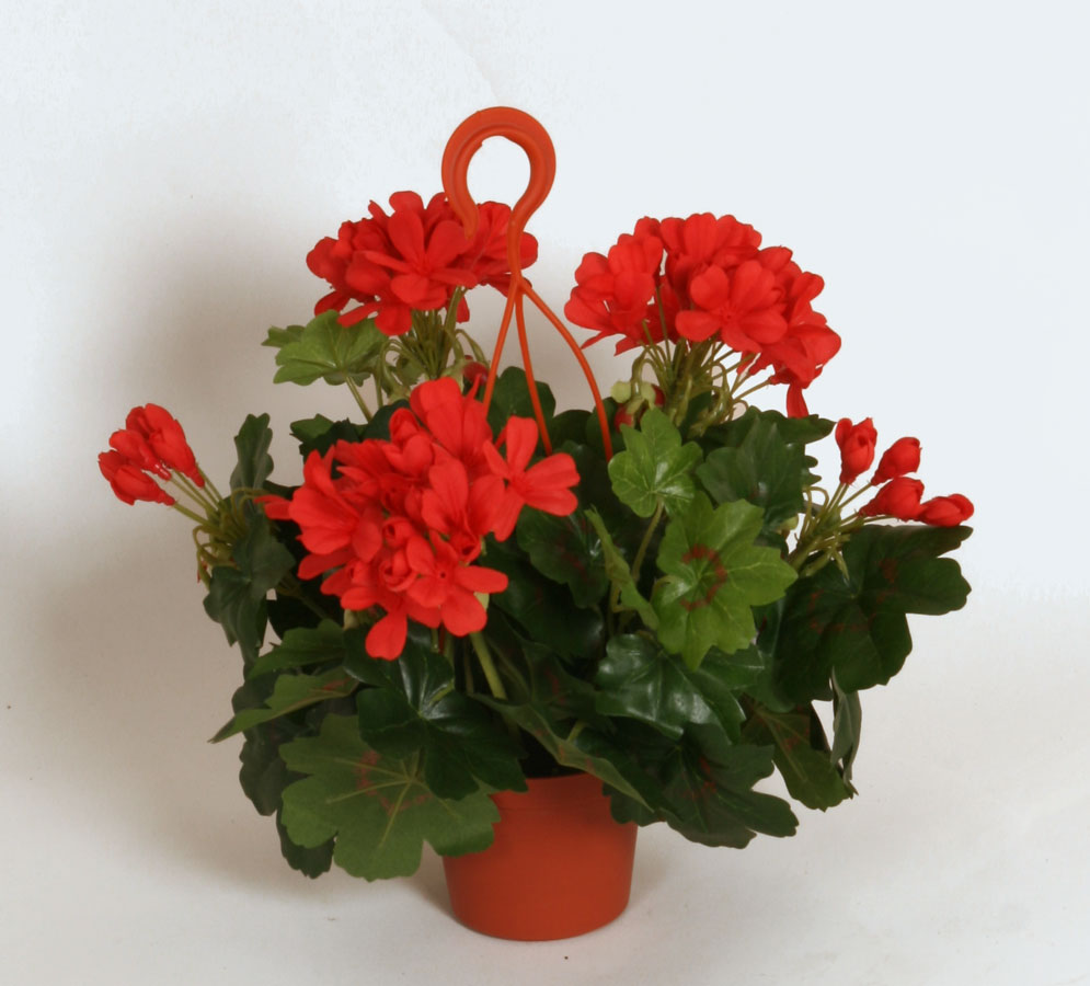 Cascade Geranium