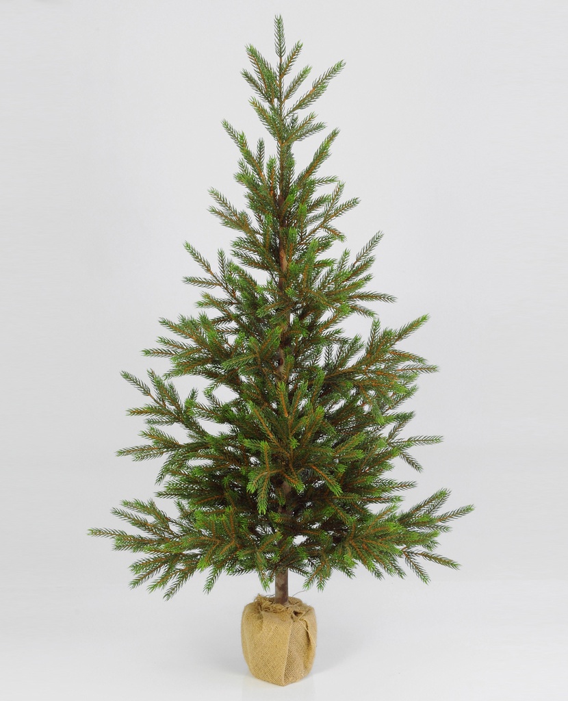 Picea Tree Small