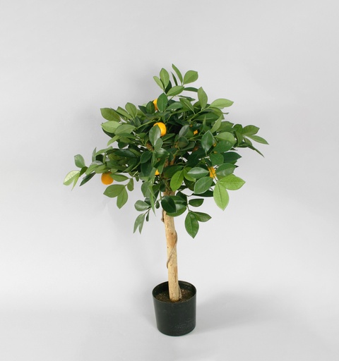 [1025-070] orange tree 