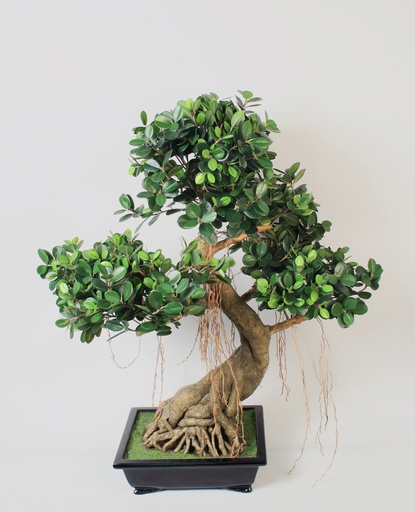 [950-90] bonsai panda 