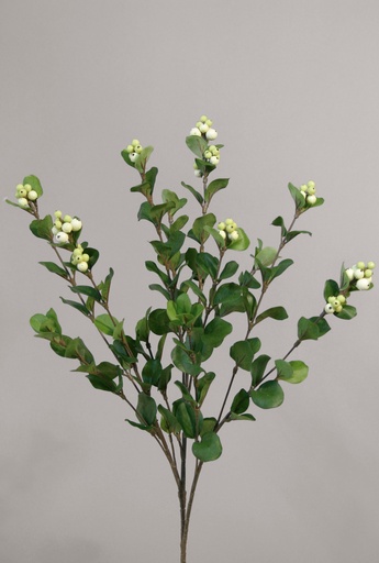 [201a] snowberry spray white 