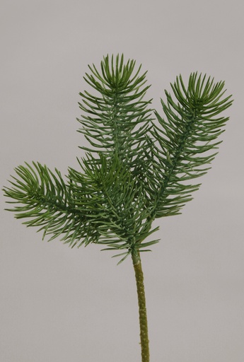[9404] picea pick 