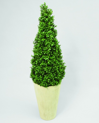 [1071-120] boxwood 