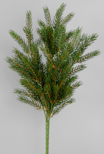 [9563] picea bush 