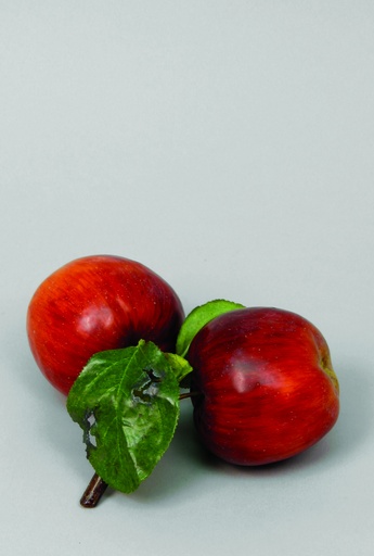 [9645] apple pick red 