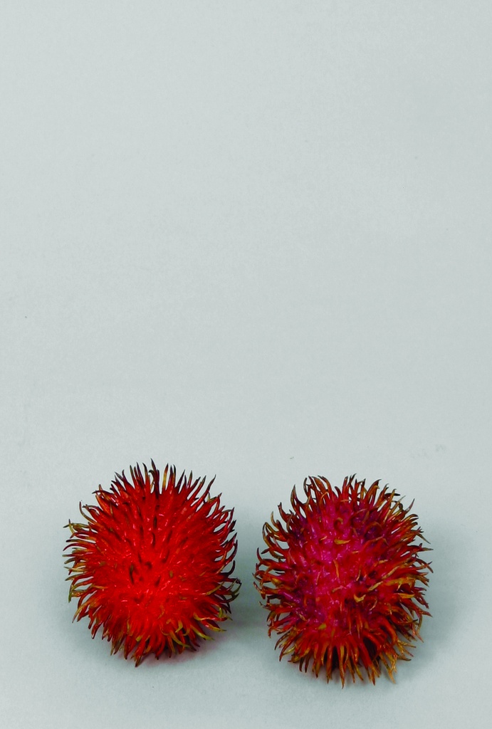 rambutan assorted 