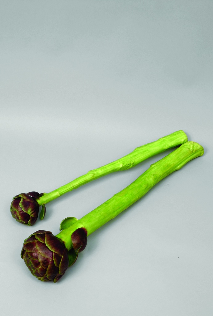 artichoke set with two sizes 
