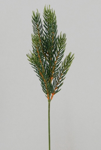 [9745] picea pick 