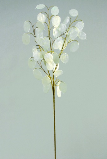 [9750] silver dollar spray 