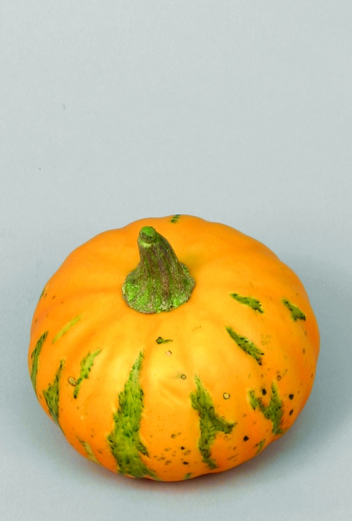 gourd 