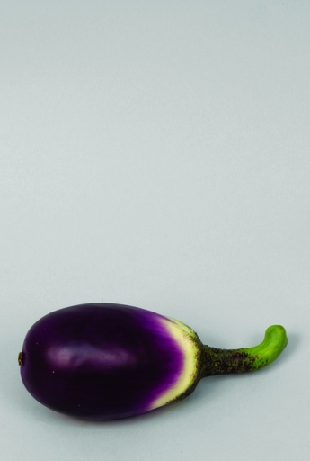 [9803] eggplant 