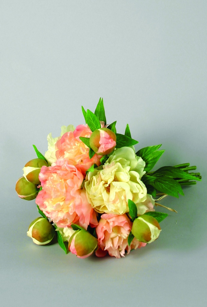 peony bouquet cream pink 