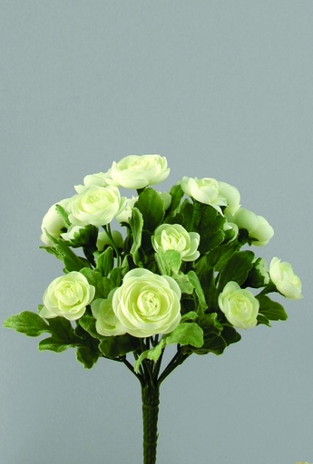 [9987] mini ranunculus 