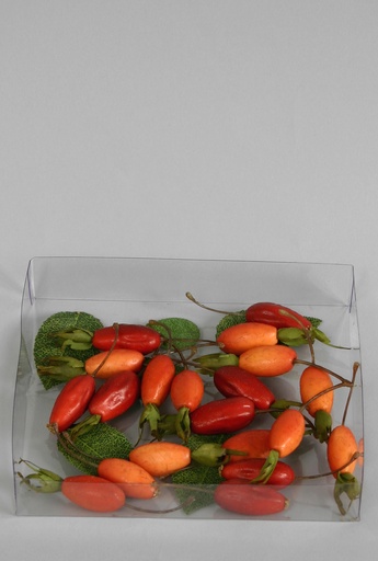 [6624] rosehips in box 
