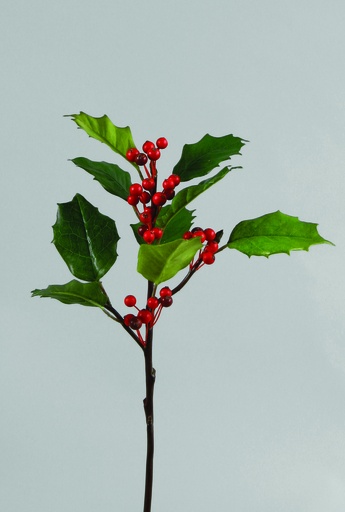 [9965] holly spray 