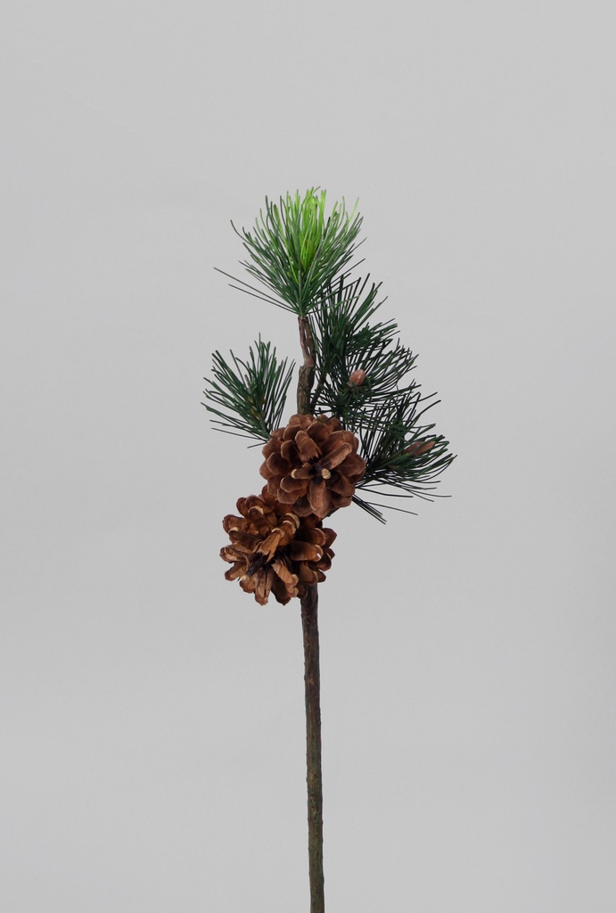 pine spray with cones 