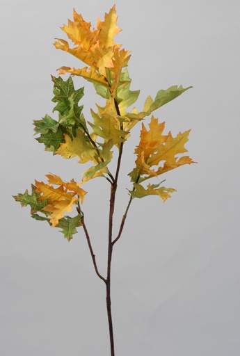 [6691] oak spray yellow green 