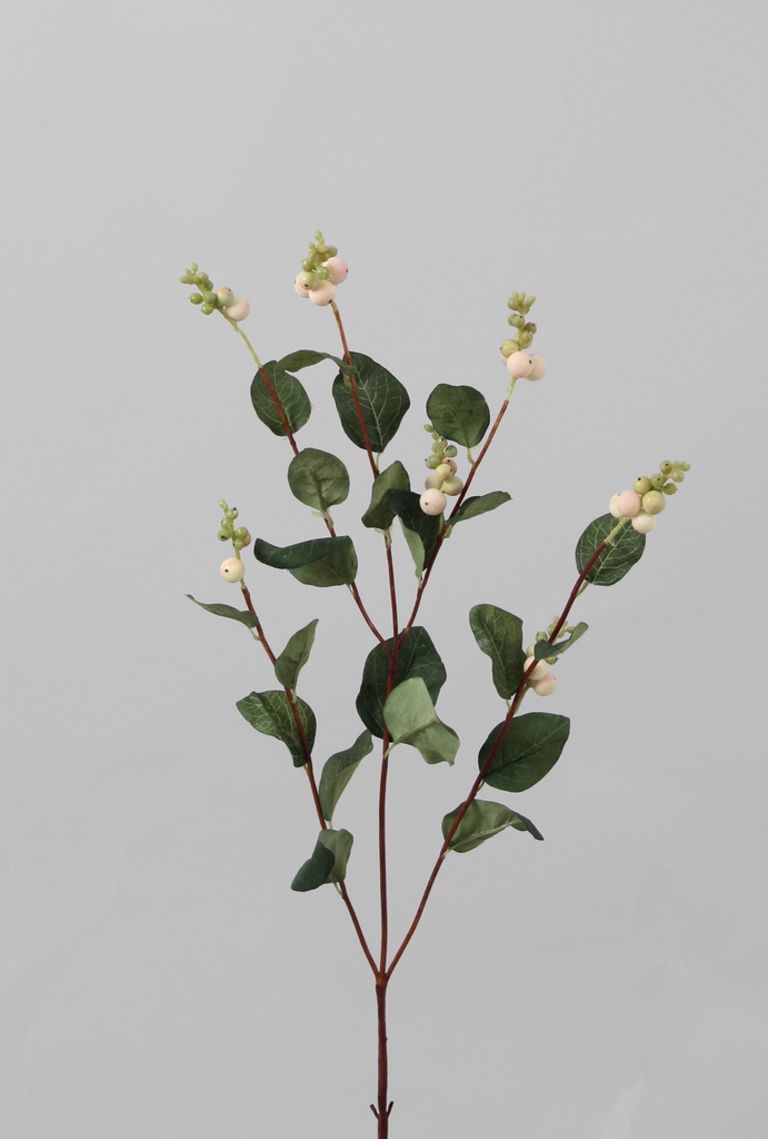 snowberry spray pink 