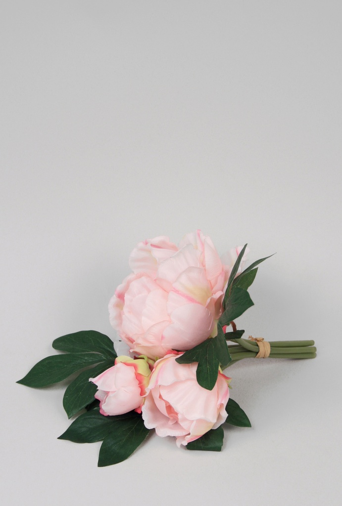 peony bundle