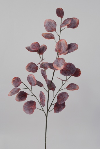 [7035] eucalyptus red brown 