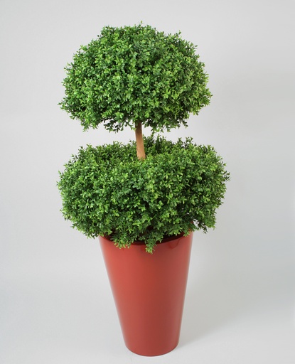 [10-130] boxwood two head 