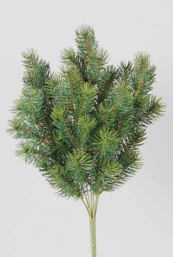 [5073] needle picea bush 