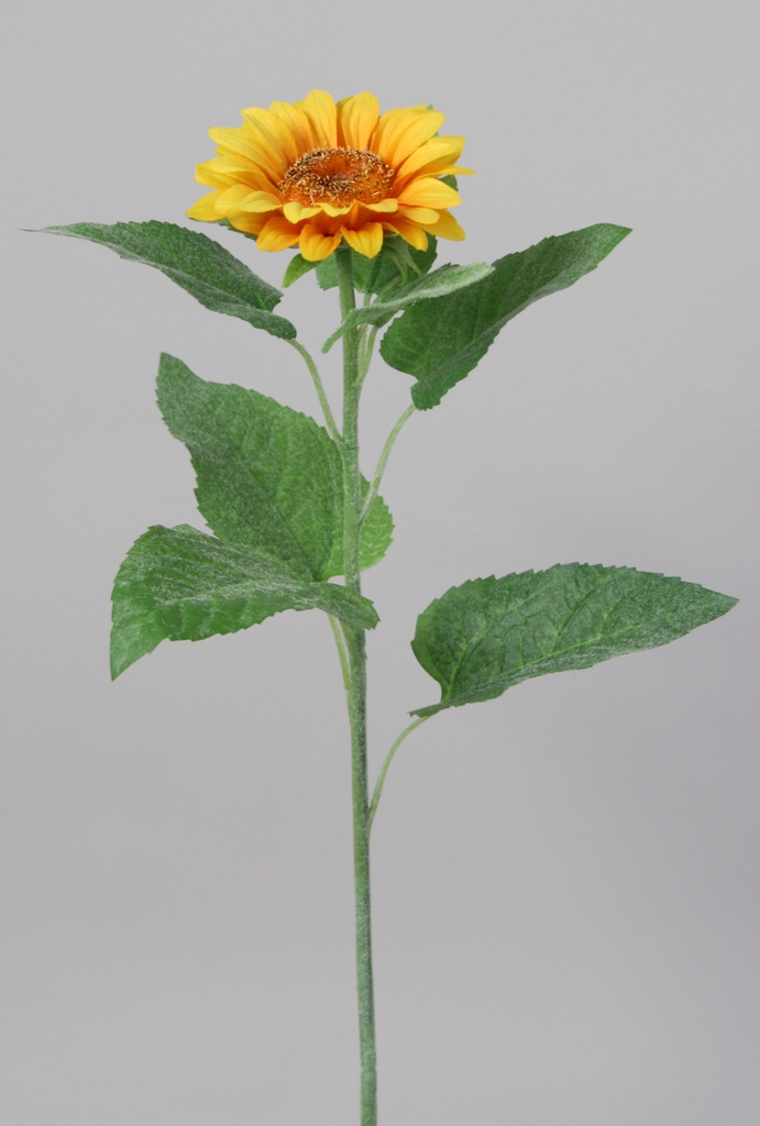 sunflower spray yellow 