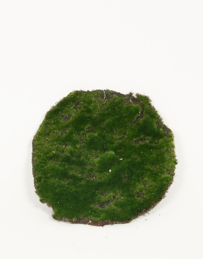[6763] moss mat 
