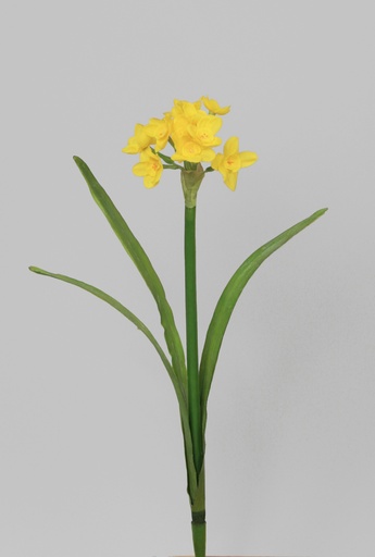 [7075] narcissus spray 