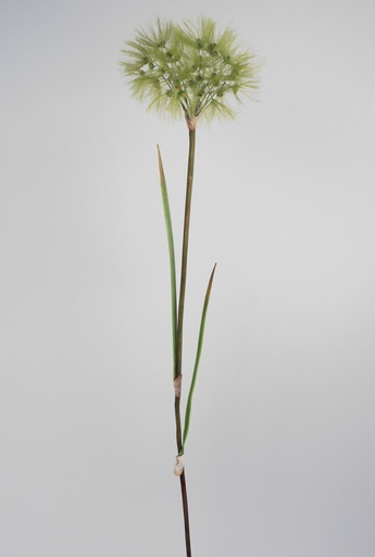 [6361] dandelion spray green 