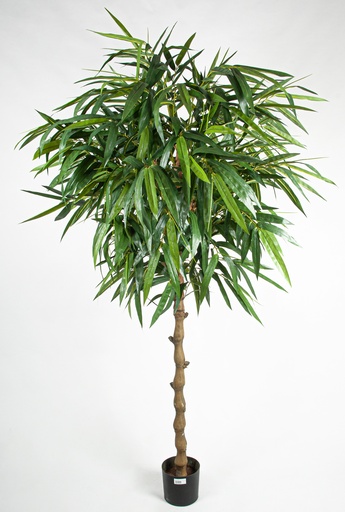 [91-170] bamboo umbrella 