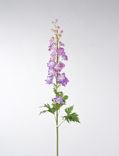 [6806] delphinium lilac 
