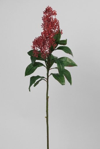 [6847] skimmia spray burgundy 