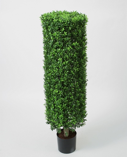 [1138-110] boxwood cylinder 