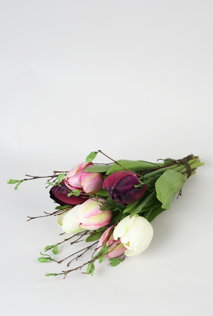 tulip bundle purple pink cream 