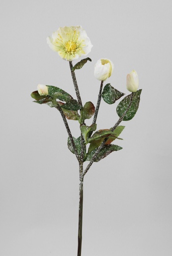 [6906] christmas rose spray 