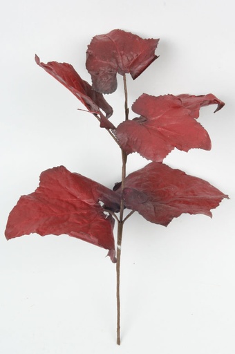 [6908] grape leaf spray 