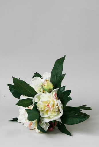 [6268] peony bouquet cream 