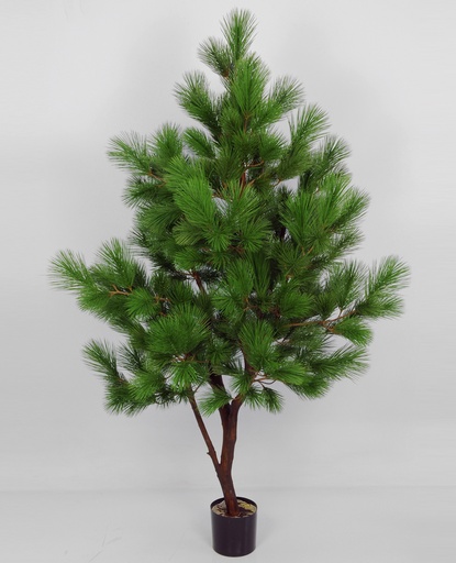 [1162-180] pine tree 
