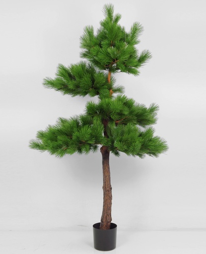 [1161-220] pine tree 