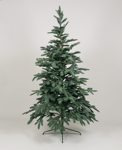 [654-160] king picea tower 