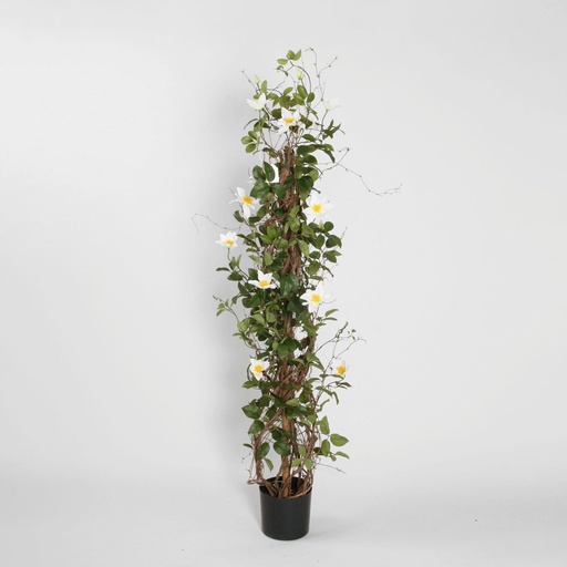 [1199-130] clematis tower 