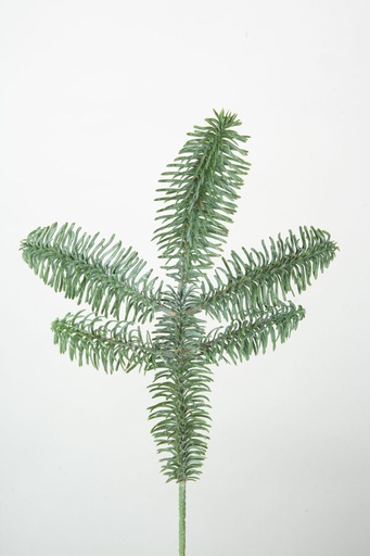 [5862] king picea pick 