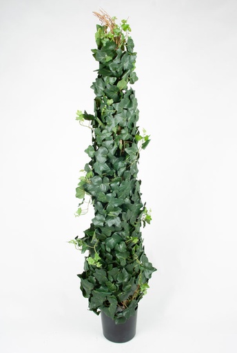 [1265-125] ivy gala climbing 