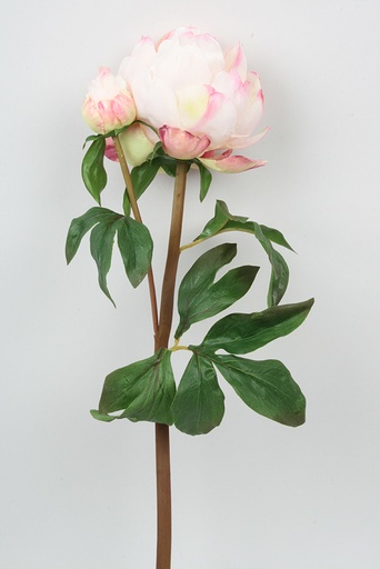 [4433] peony bud light pink 