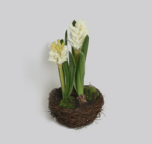 [4046] hyacinth arrangement 
