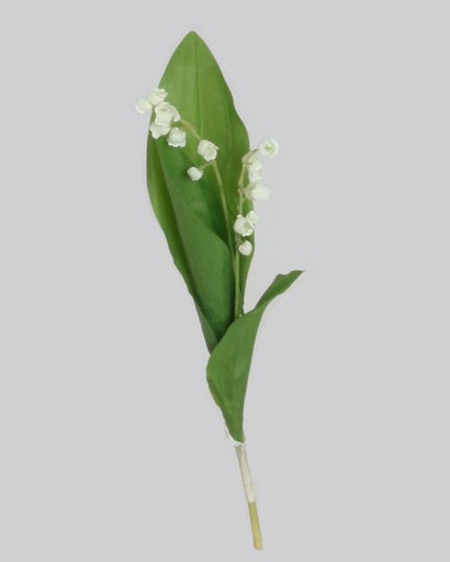 [4059] lily of the valley 