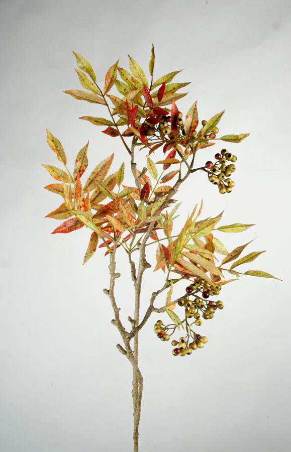 sorbus autumn spray 